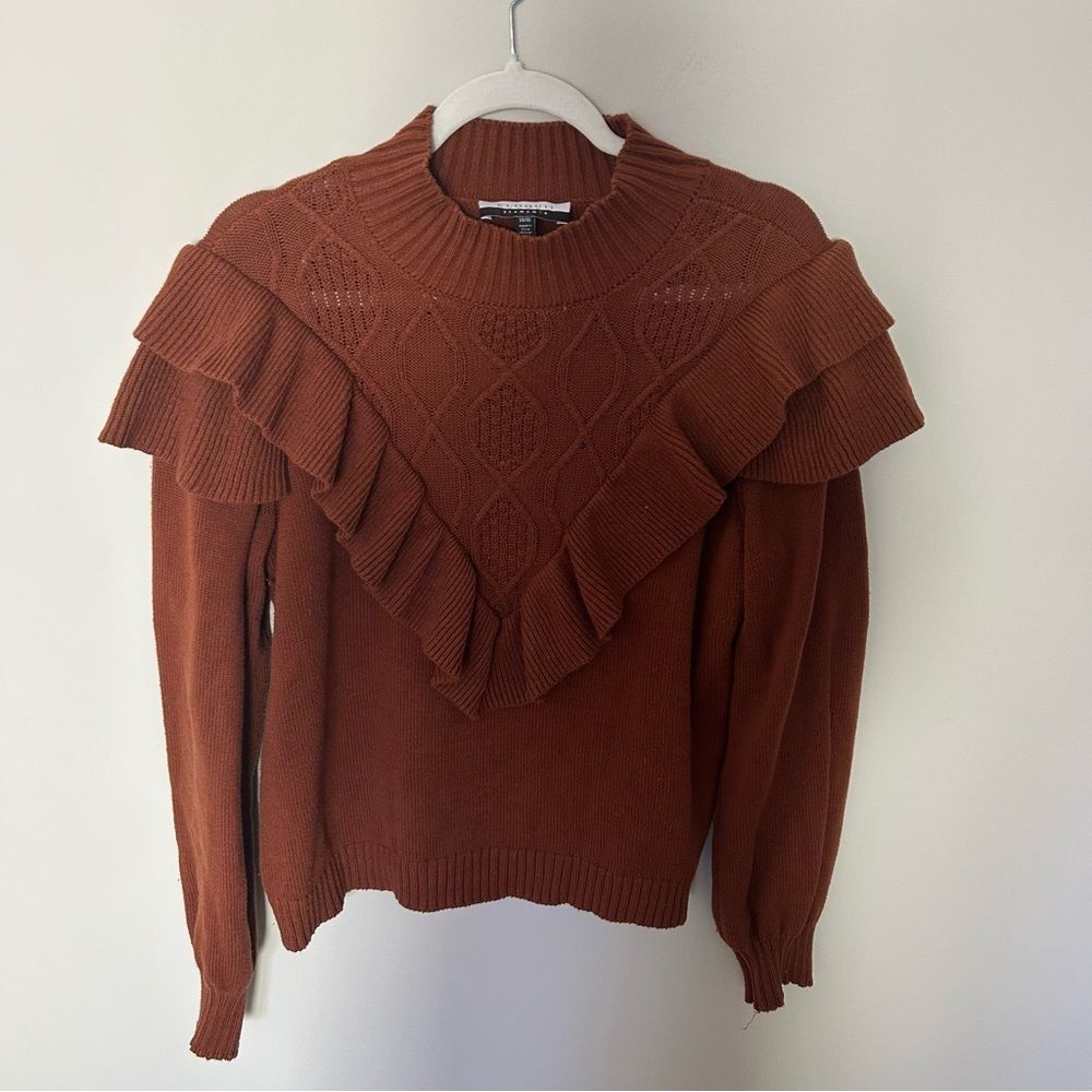 Eloquiii Victorian Style Rust Sweater Size 14/16